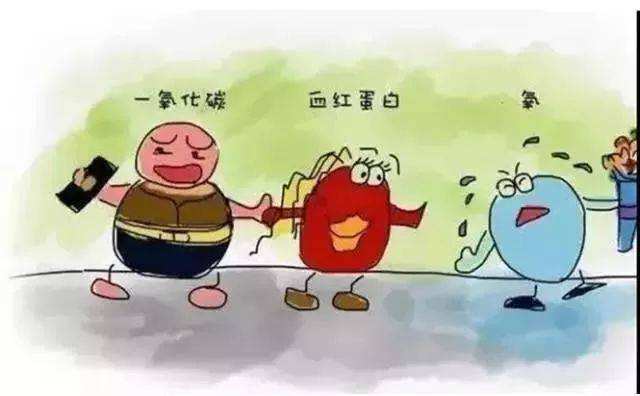 一氧化碳与血红蛋白结合